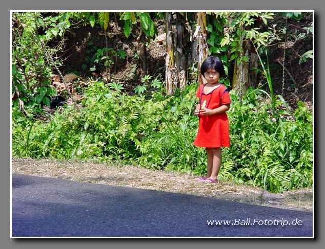DSC08000
